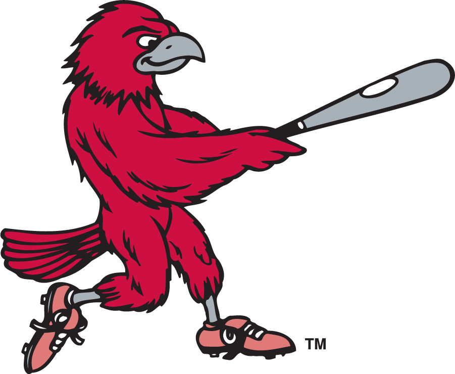 St. Joseph's Hawks 1995-2002 Secondary Logo v4 diy iron on heat transfer